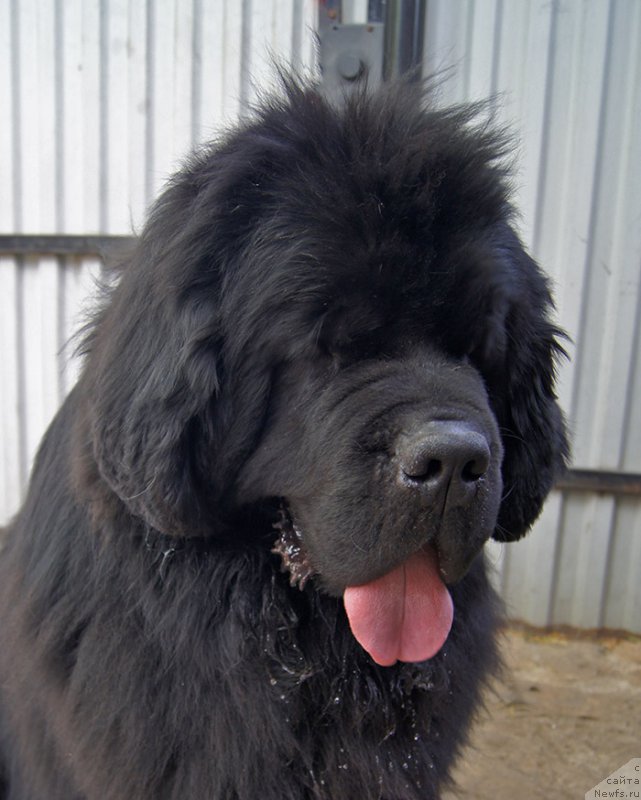 Фотография № 225651