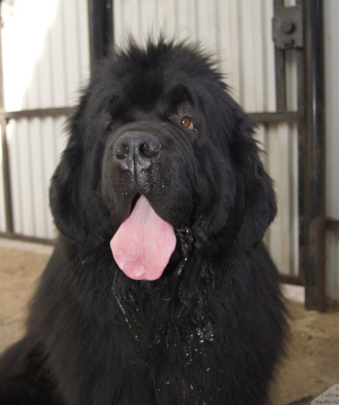 Фотография № 225652