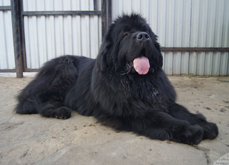 Фотография № 225653