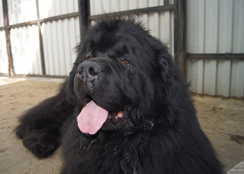 Фотография № 225654