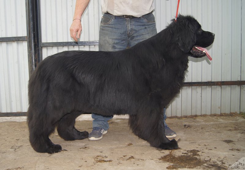 Фотография № 225656