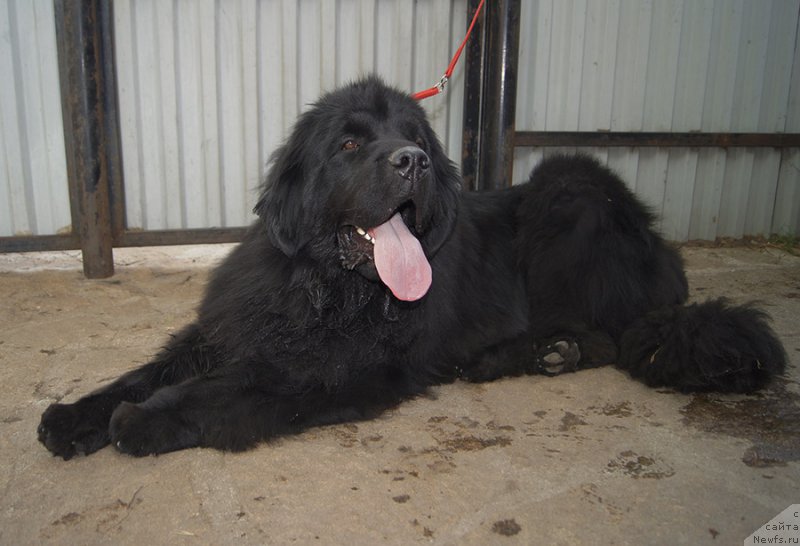 Фотография № 225658