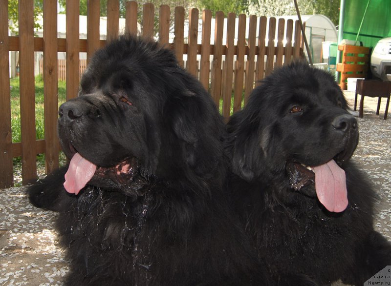 Фотография № 225660