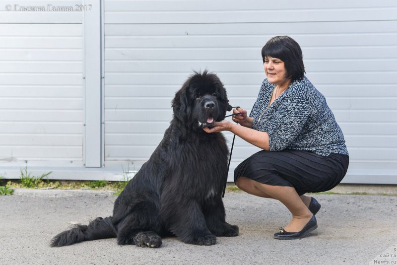 Фотография № 225663