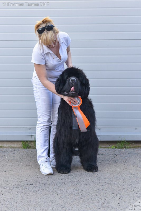 Фотография № 225665