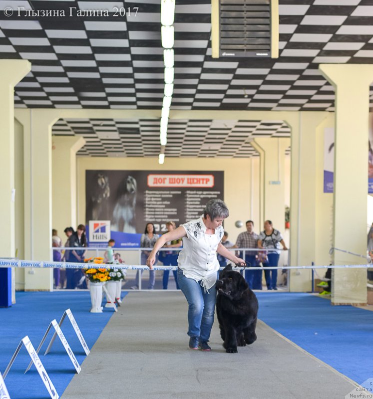 Фотография № 225670