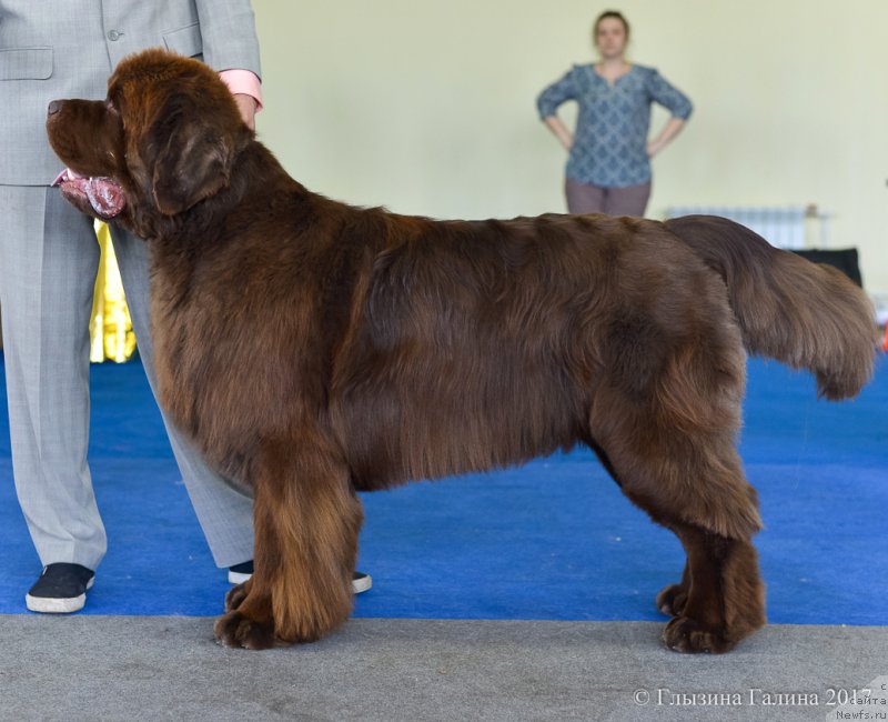 Фотография № 225673