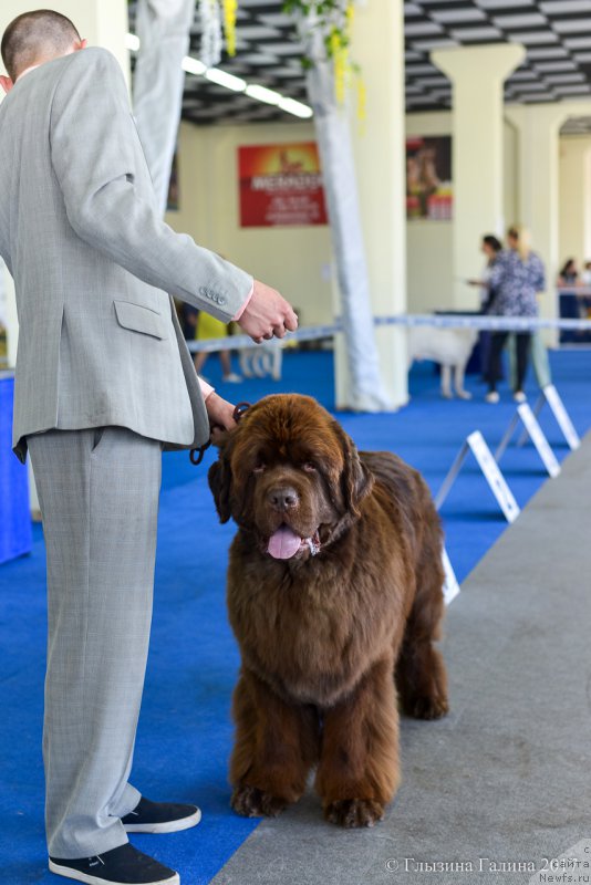 Фотография № 225674