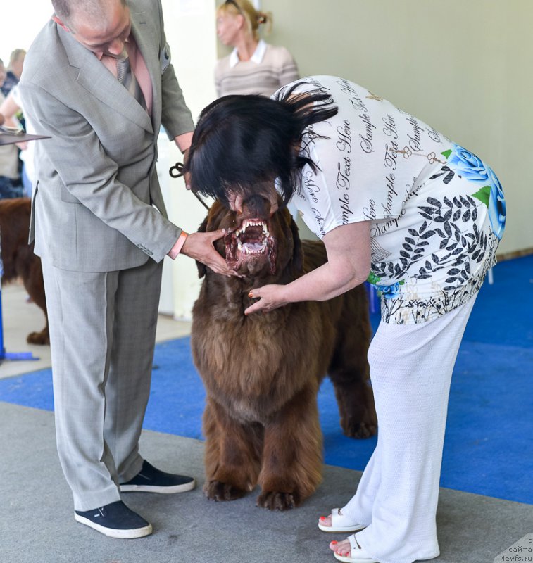 Фотография № 225675