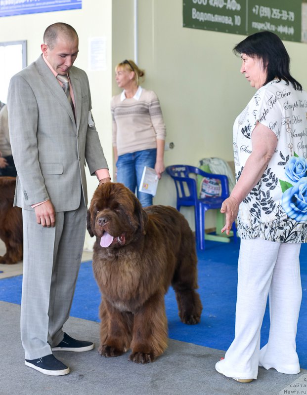 Фотография № 225678