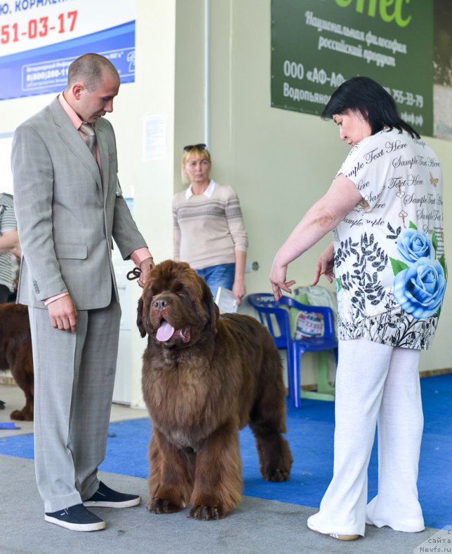 Фотография № 225679