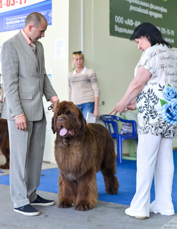 Фотография № 225680