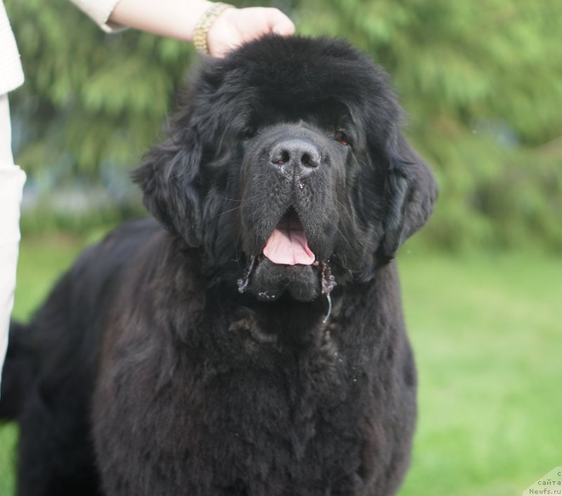 Фотография № 225690