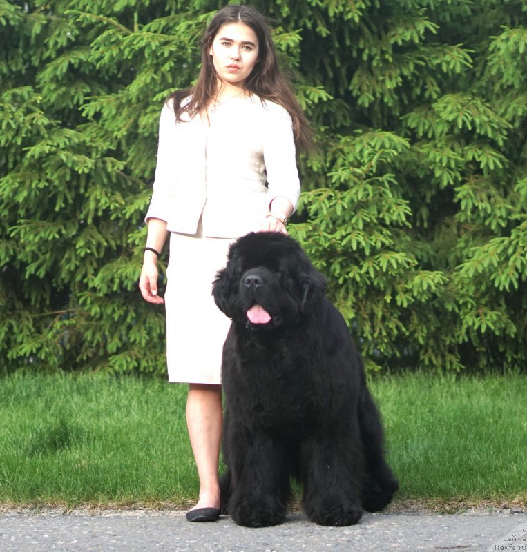 Фотография № 225691