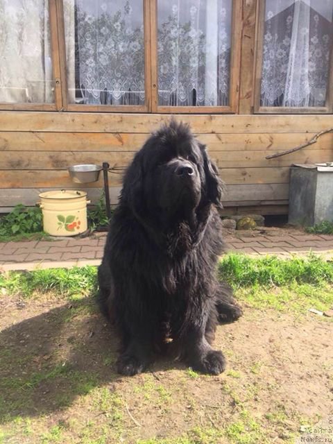 Фотография № 225708