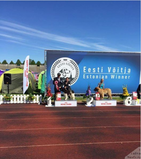 Фотография № 225717