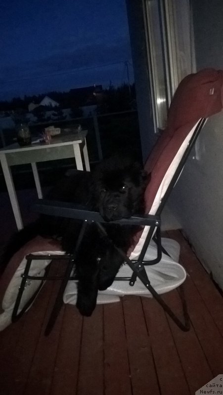 Фотография № 225723