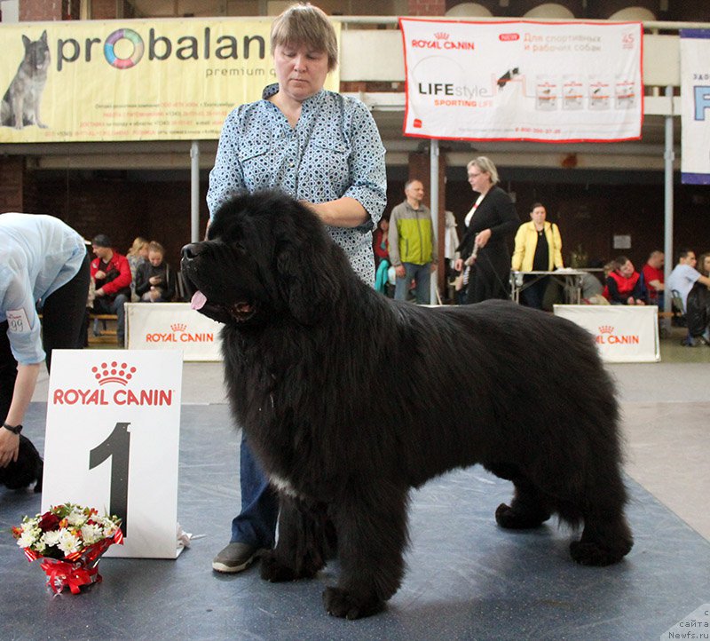 Фотография № 225727