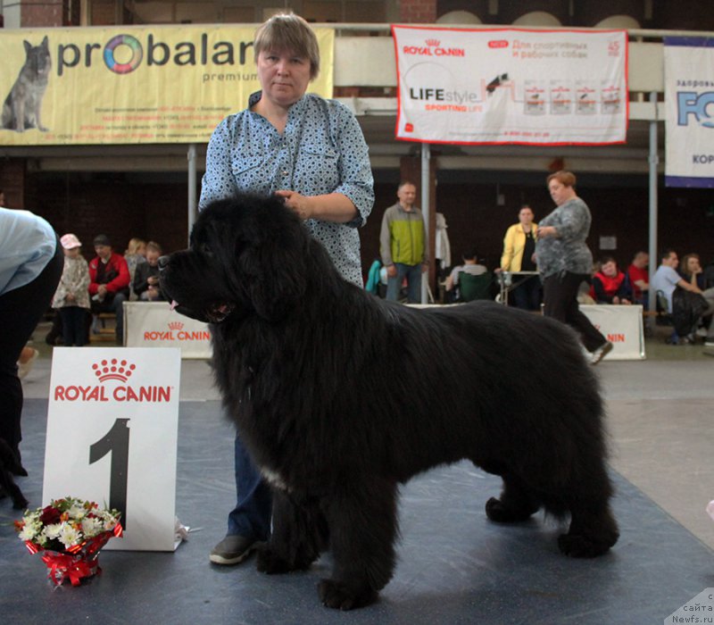 Фотография № 225728