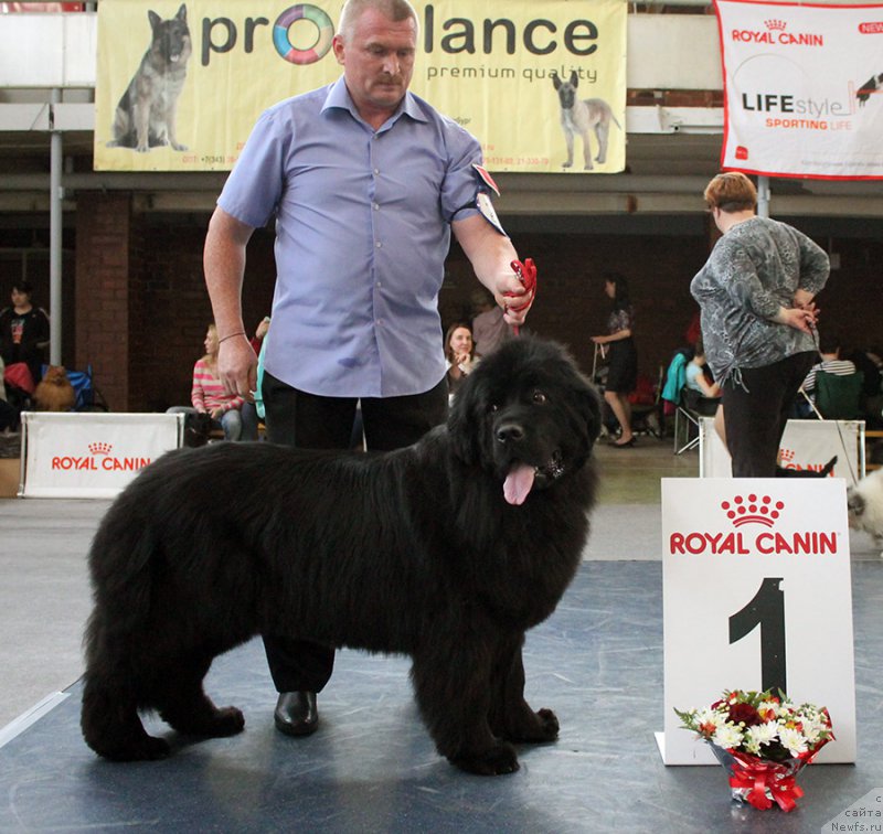 Фотография № 225733