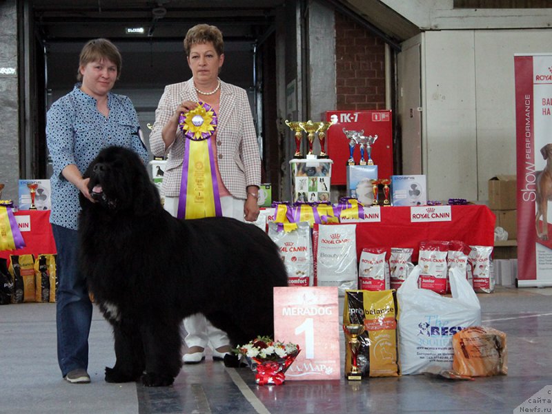 Фотография № 225739