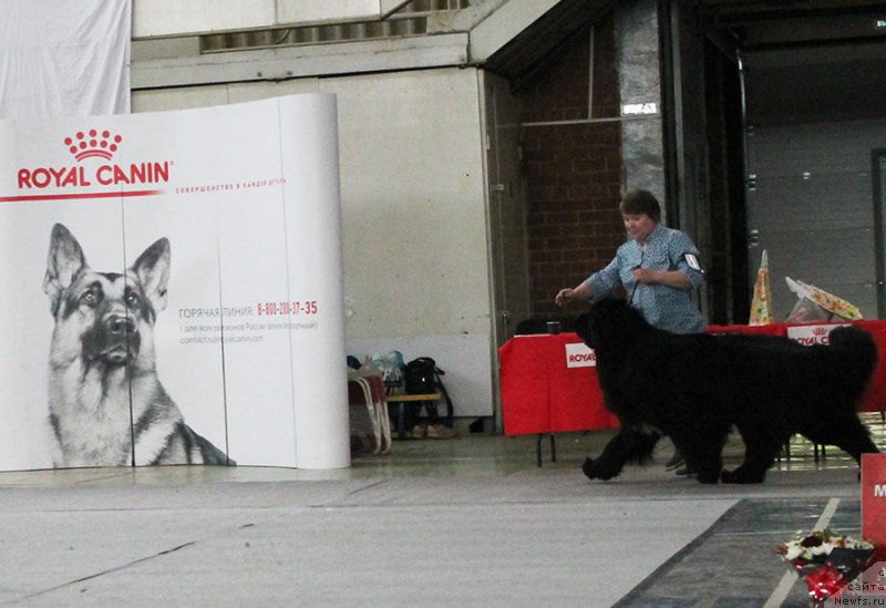 Фотография № 225740