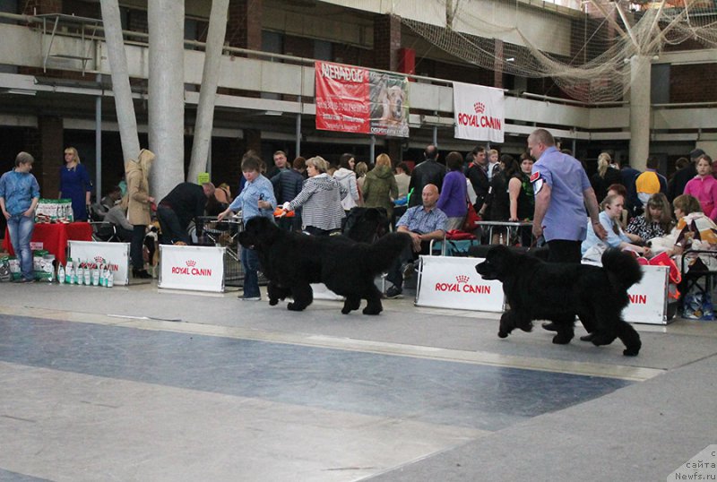 Фотография № 225744