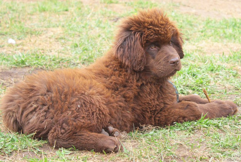 Фотография № 225755