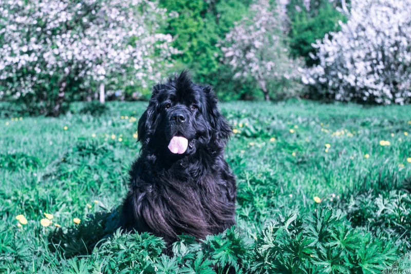 Фотография № 225791