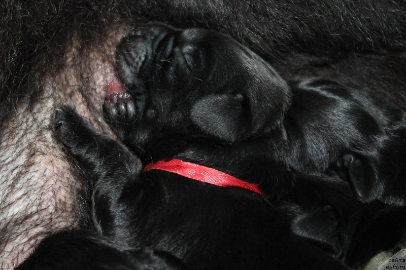 Фотография № 225820