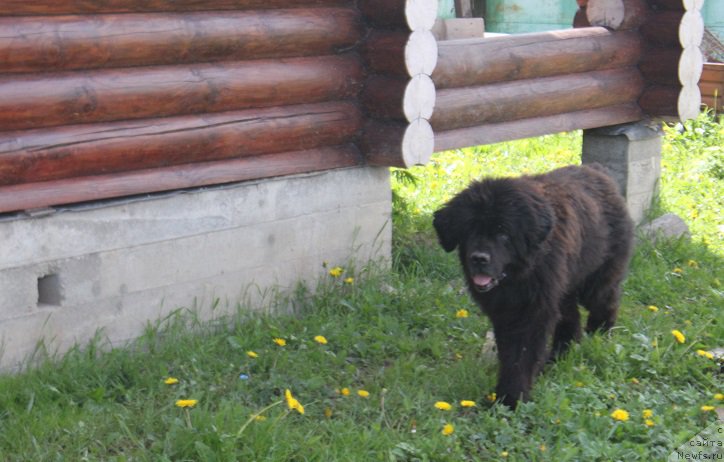 Фотография № 225824