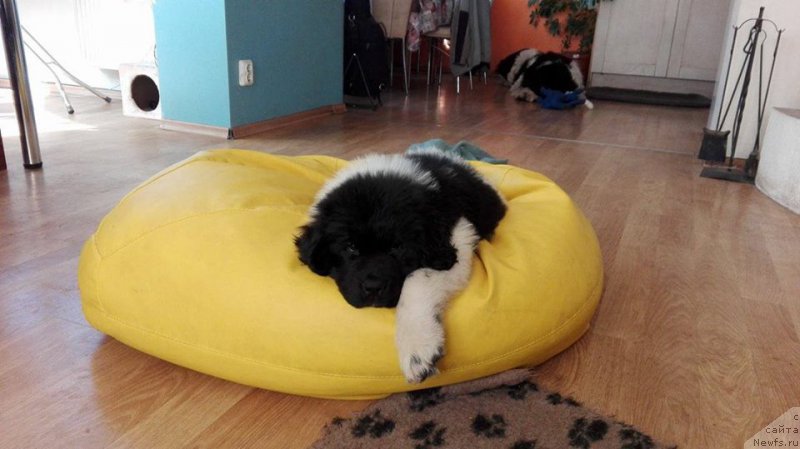 Фотография № 225857