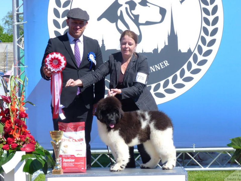 Фотография № 225860