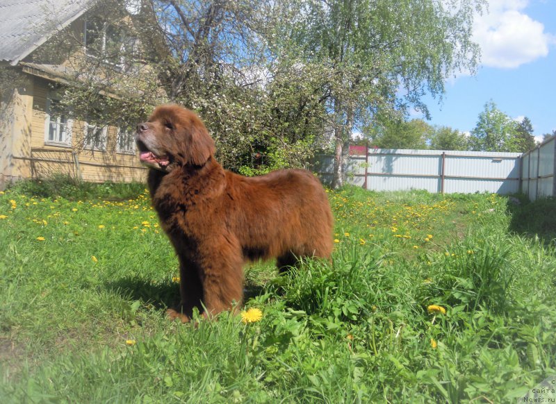 Фотография № 225868