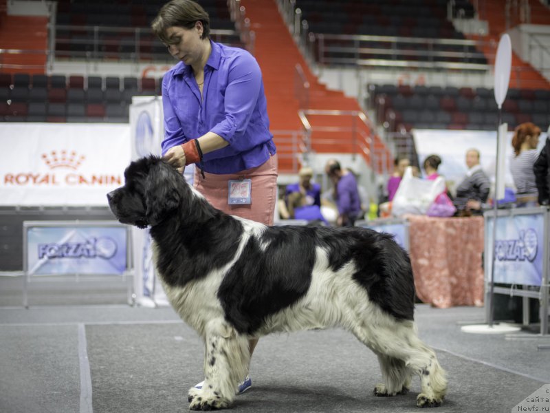 Фотография № 225895