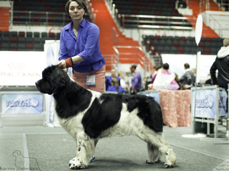 Фотография № 225896