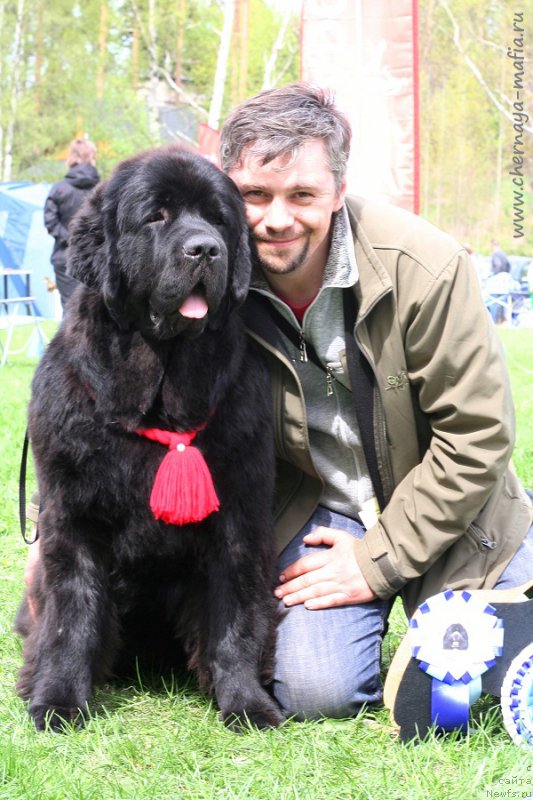 Фотография № 225928