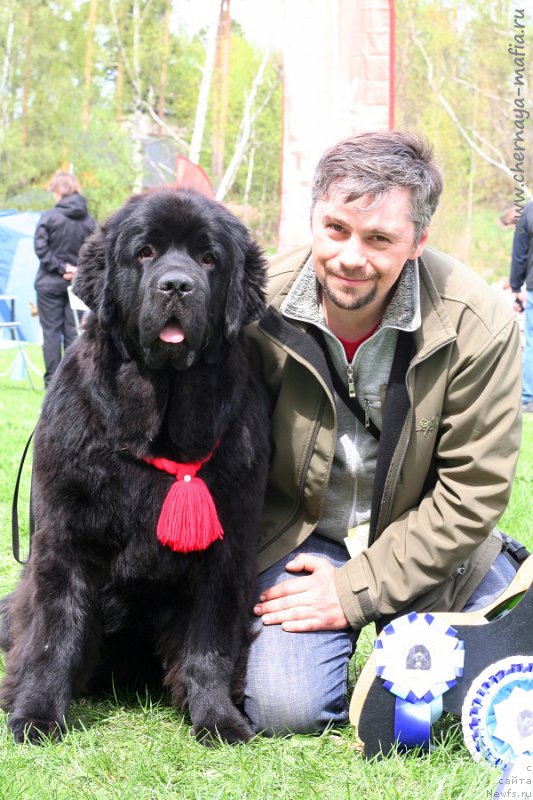 Фотография № 225929