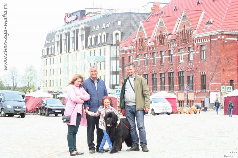 Фотография № 225934