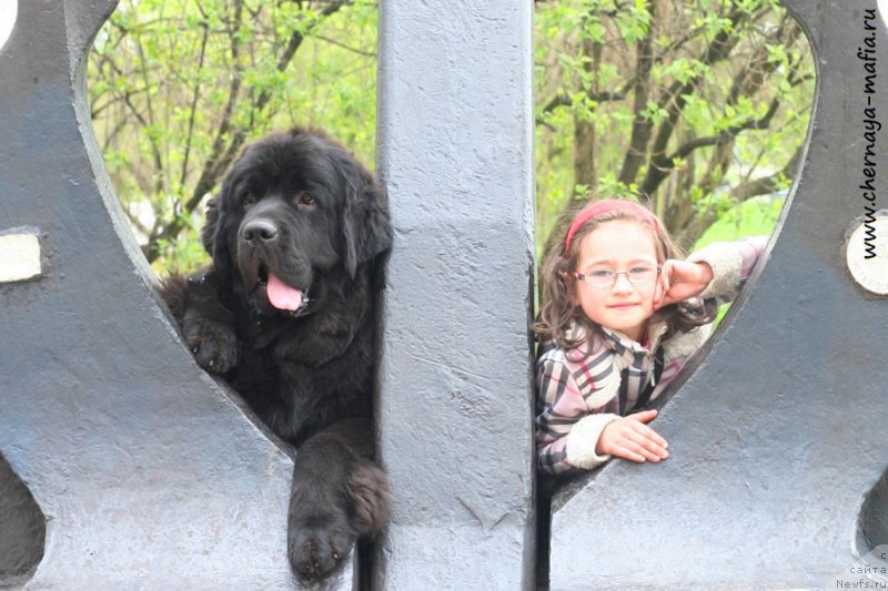 Фотография № 225936