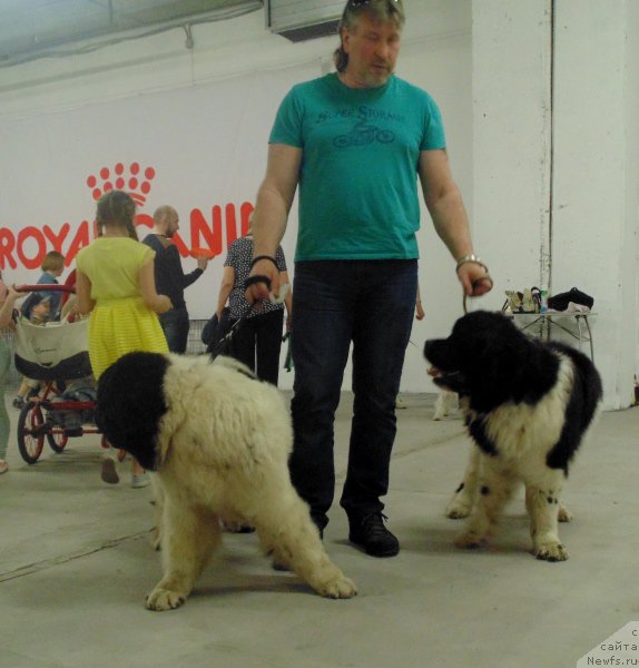 Фотография № 225983