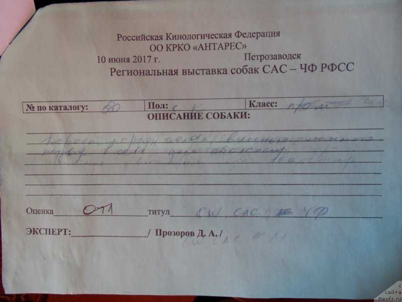 Фотография № 225985