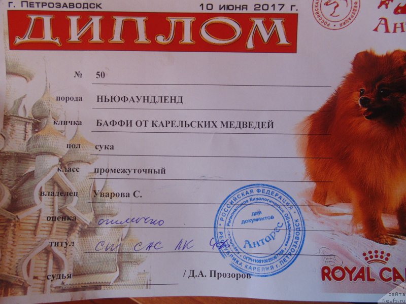 Фотография № 225986