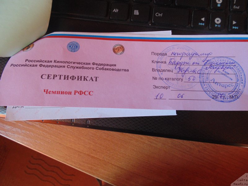 Фотография № 225987