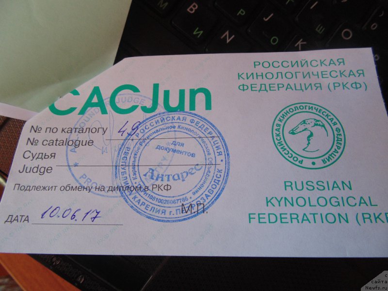 Фотография № 225991