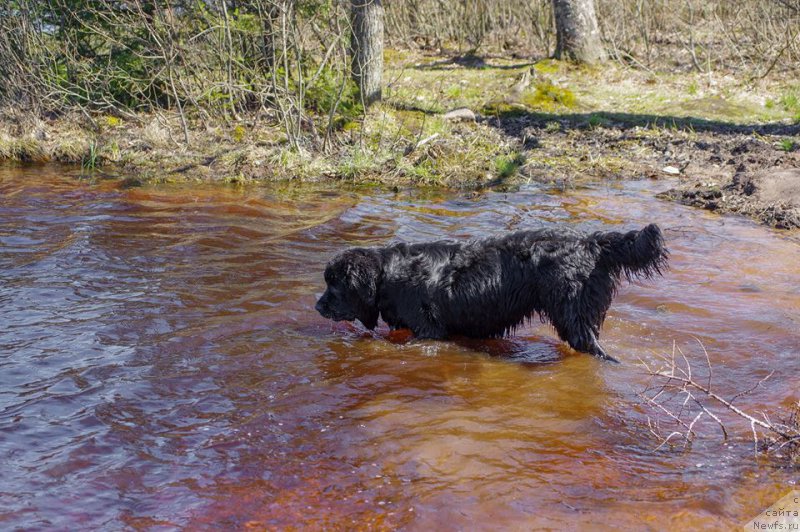 Фотография № 226003