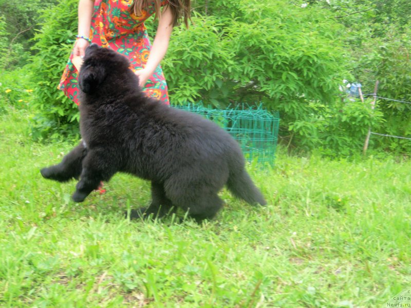 Фотография № 226052