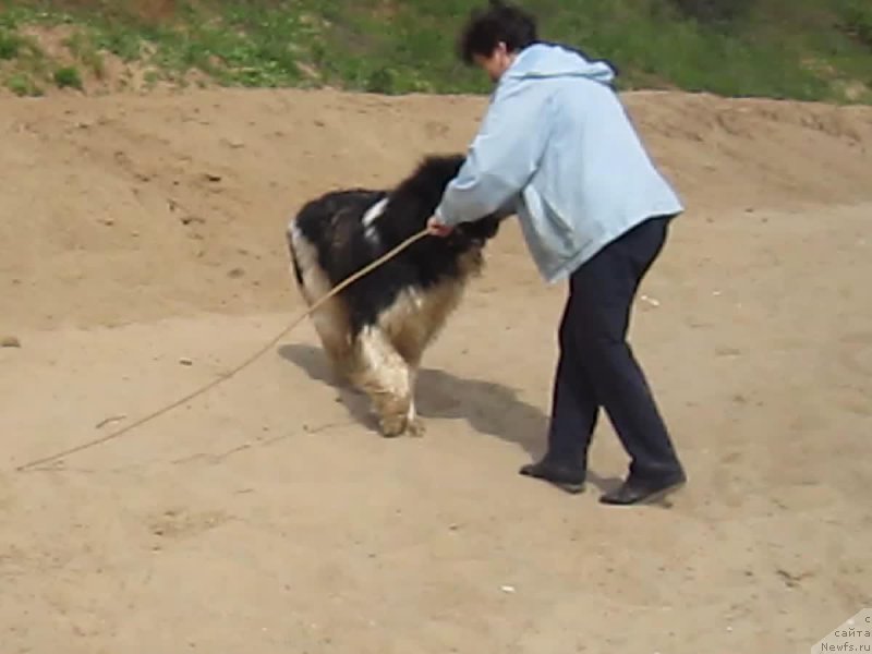 Фотография № 226057