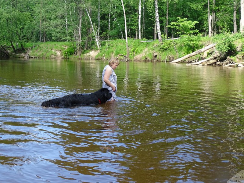 Фотография № 226059