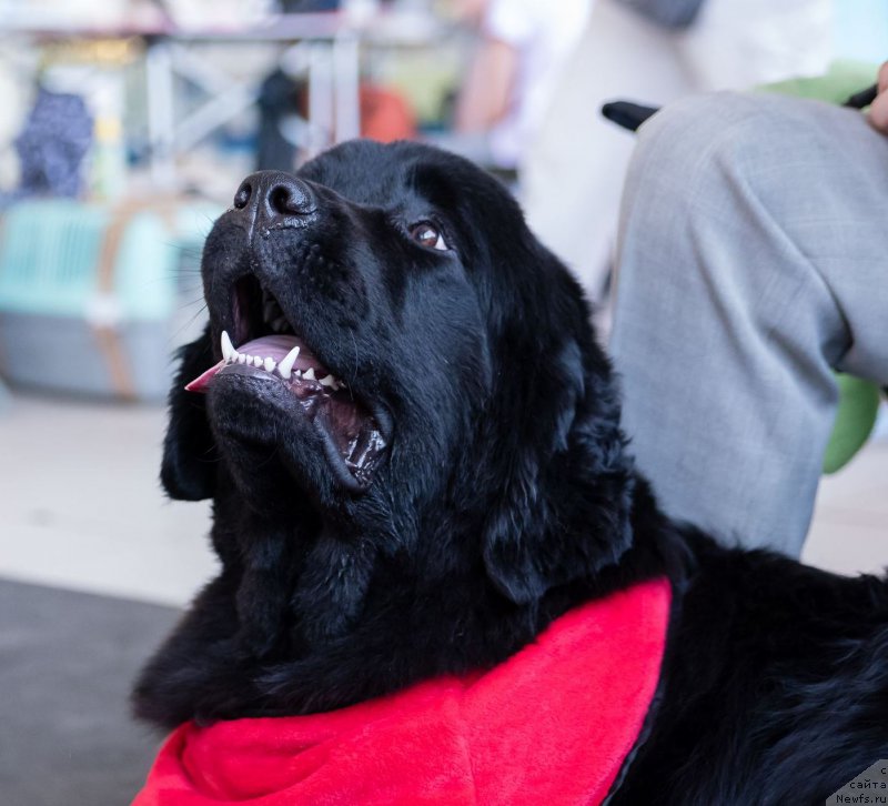 Фотография № 226065